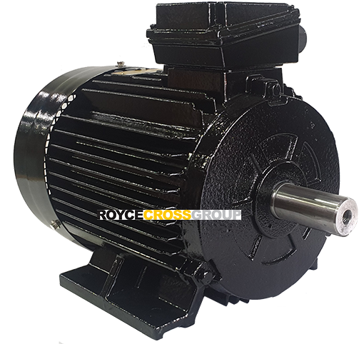 Robust and reliable: RCG cast-iron electric motor range